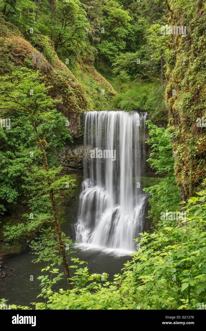 Lower South Falls, Silver Falls State Park, Oregon. Stockfoto