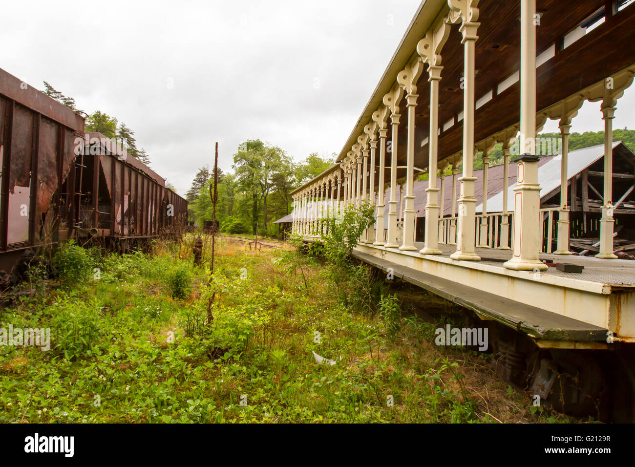 Rost und Alterung Eisenbahnwaggons auf überwachsenen Spuren im Land. Stockfoto