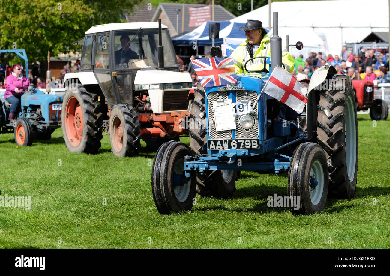 Royal Welsh Frühlingsfest, Mai 2016 - das Erscheinen kennzeichnete eine Parade von Oldtimern und Oldtimer-Traktoren - hier ist ein Fordson Super Major in Dagenham UK von 1961 bis 1964 produziert. Stockfoto
