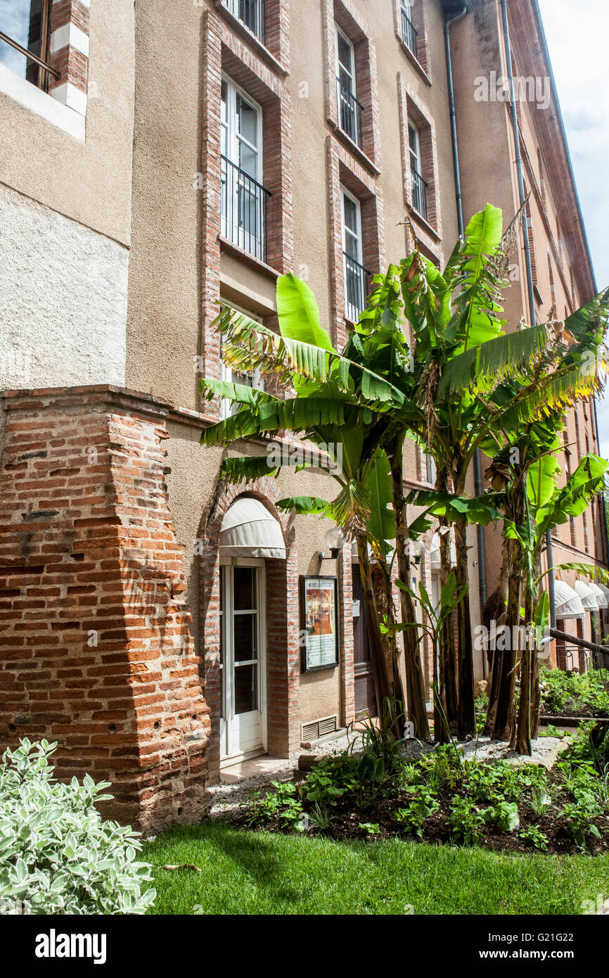 Albi (Tarn, Frankreich) Stockfoto Albi (Tarn, Frankreich) Stockfoto
