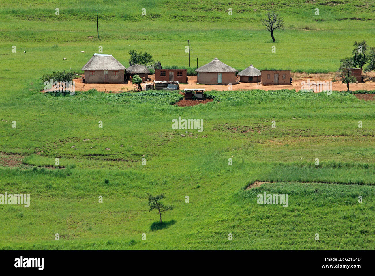 Kleine ländliche Hütten in bergigen Grünland, KwaZulu-Natal, Südafrika Stockfoto