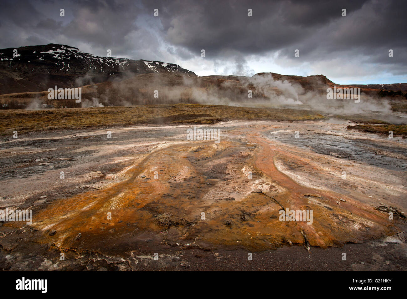 Heiße Quellen, Hochtemperaturbereich im Tal Haukadalur, mineralische Ablagerungen, Touristenattraktionen, Golden Circle Route Stockfoto