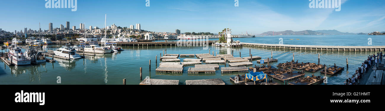 Kalifornien Seelöwen (Zalophus Californianus) am Pier 39 mit Skyline von San Francisco &#39; s Fischer &#39; s Wharf Stockfoto