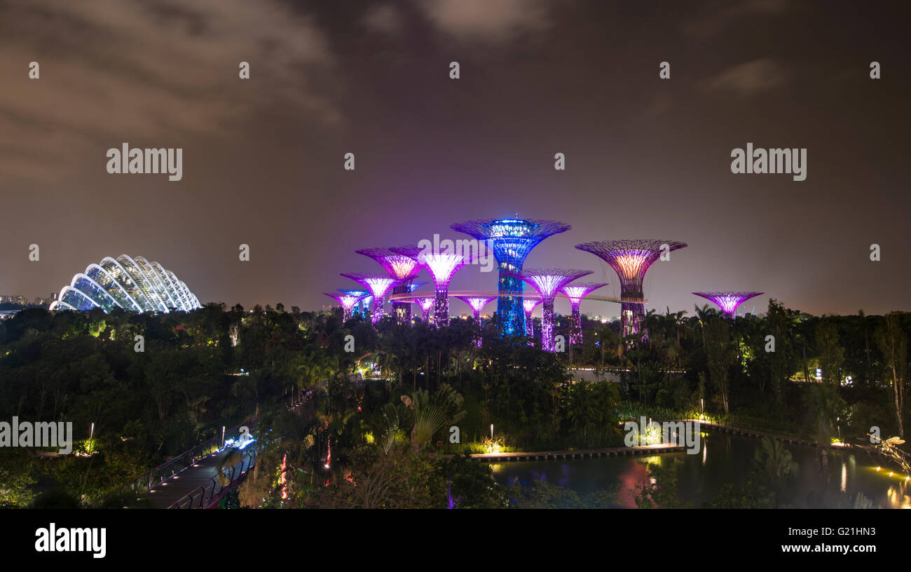 Beleuchtete Super Bäume in der Nacht, Gardens by the Bay, Singapur Stockfoto