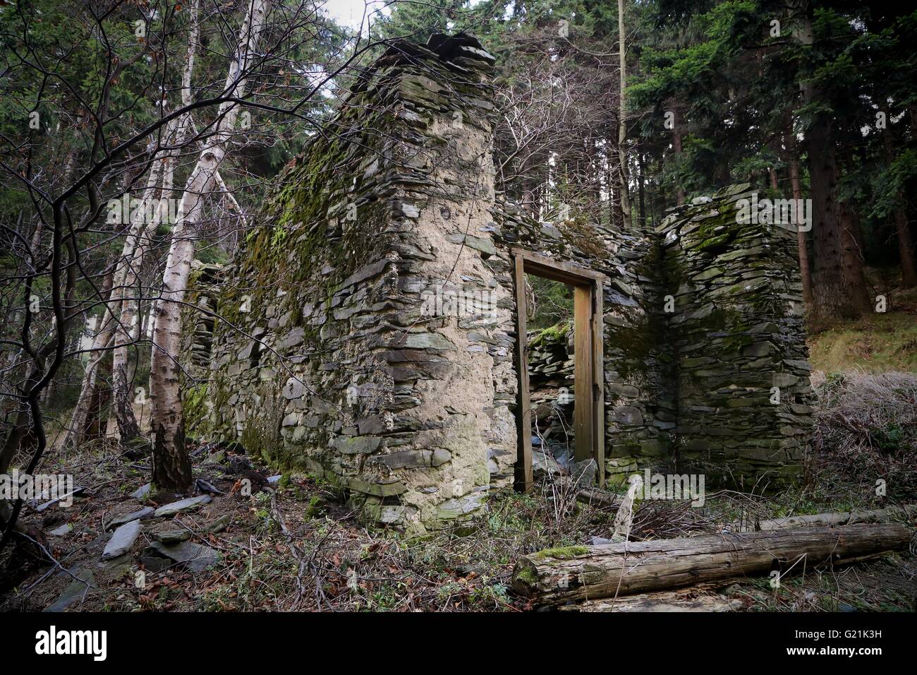 Alte verlassene ruiniert Steinhaus im Wald Stockfoto