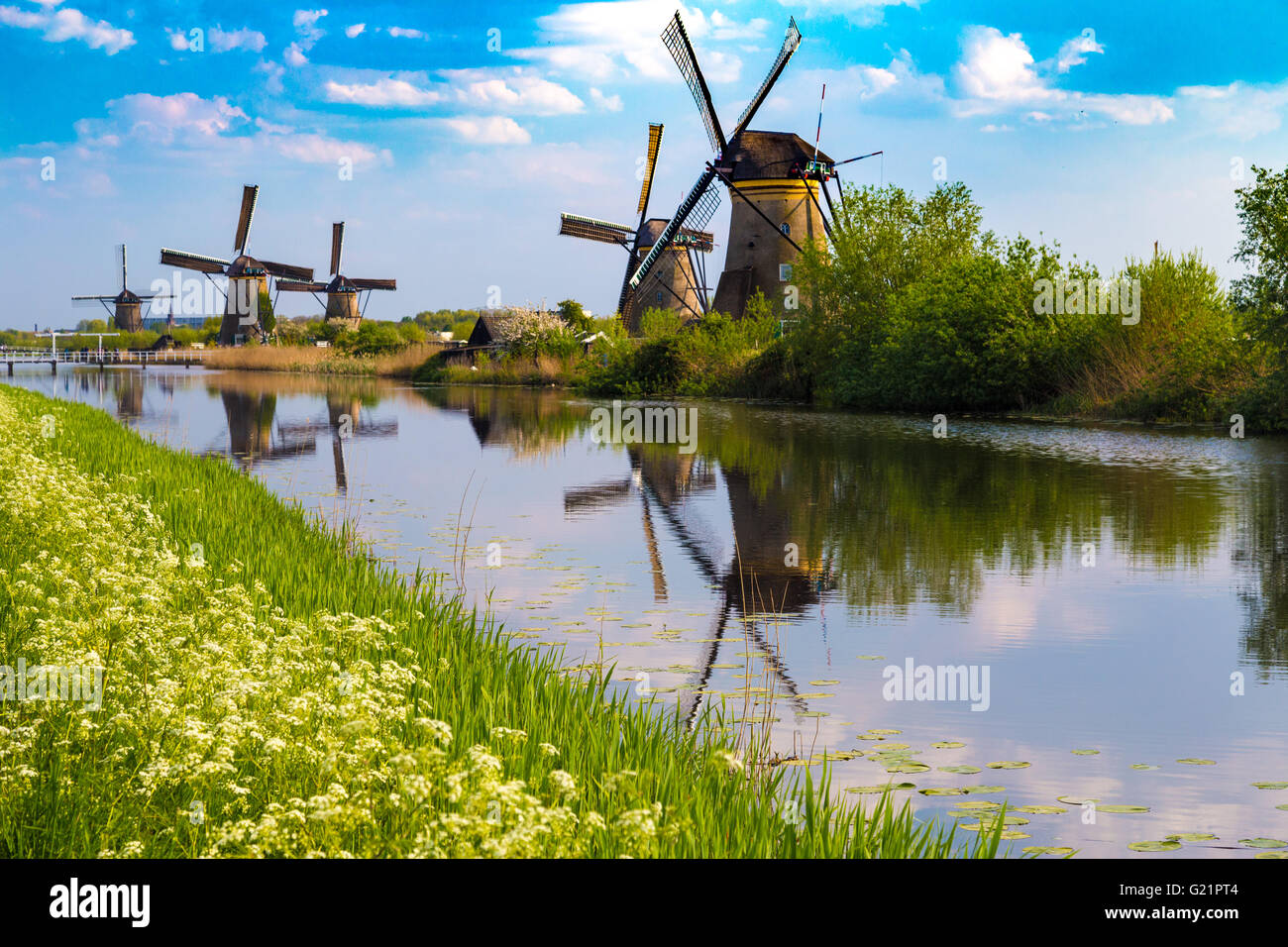 Spiegelt sich in den holländischen Kanälen bei Kinderdijk, der UNESCO in den Niederlanden Windmühlen Stockfoto