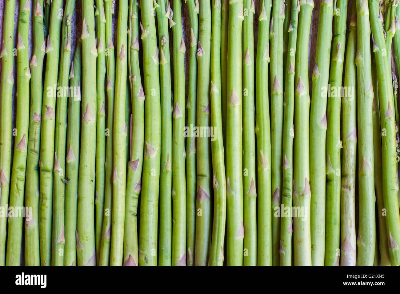 Essen Muster Hintergrund des rohen Grünspargel ergeben sich in geordneten vertikalen Reihe Stockfoto