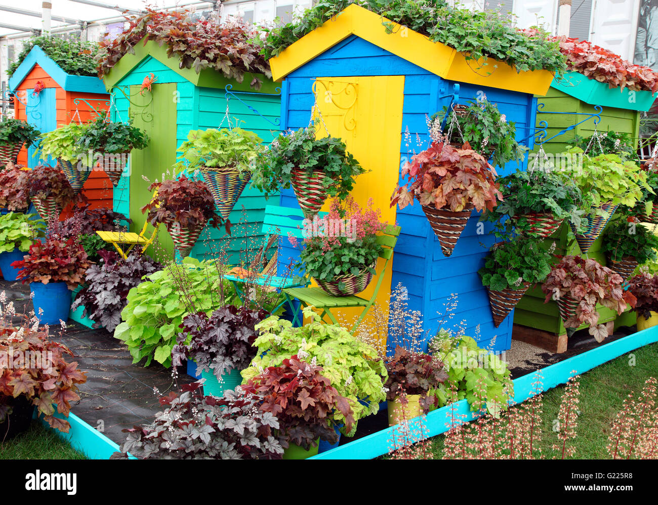 Anzeige von Heucheraholics bei HS Chelsea Flower Show 2016 Stockfoto