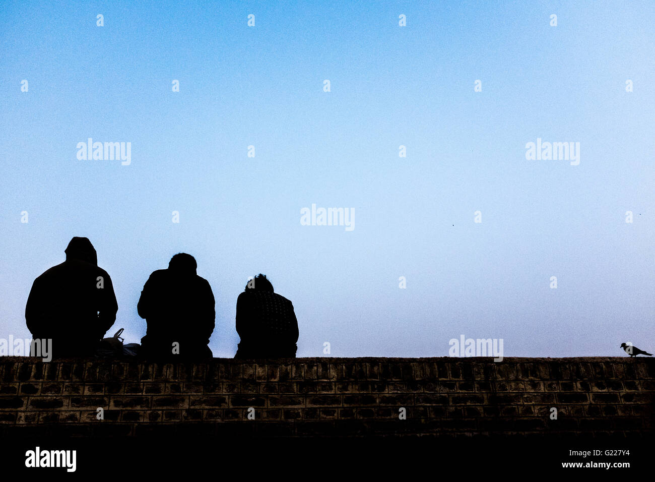 Drei Männer sitzen auf einer Wand mit einer Taube auf, Delhi, Indien. Stockfoto