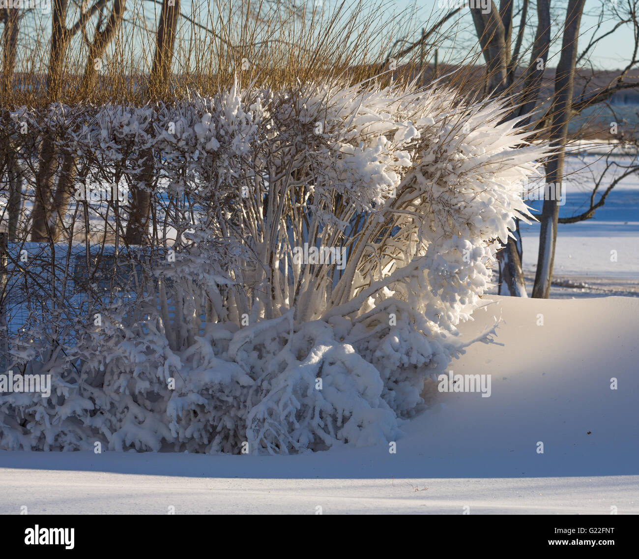 Winter, Schnee und Schneeverwehungen im frühen Morgenlicht in Sag Harbor, NY Stockfoto
