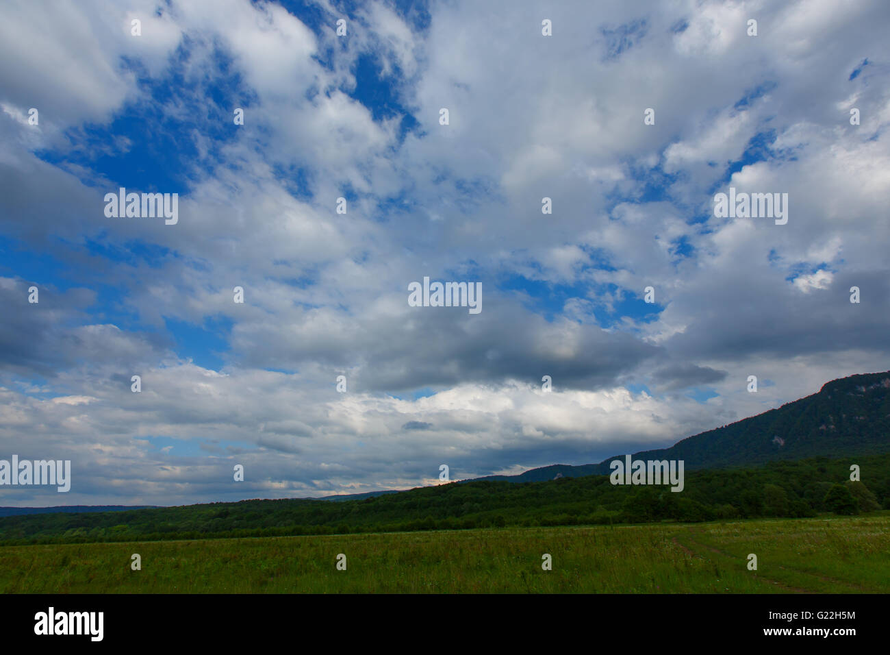 Sky Grasgrün Feld blaue Wolke Rasen Wiese Sommer ländliche Sonnenlicht Landschaft bewölkt Pflanze Land schöne Natur Wolkengebilde Stockfoto
