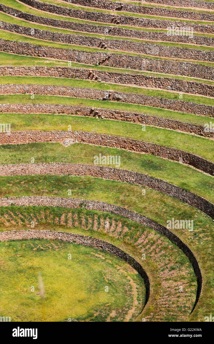 Inka landwirtschaftlichen Terrassen in Moray, Peru Stockfoto