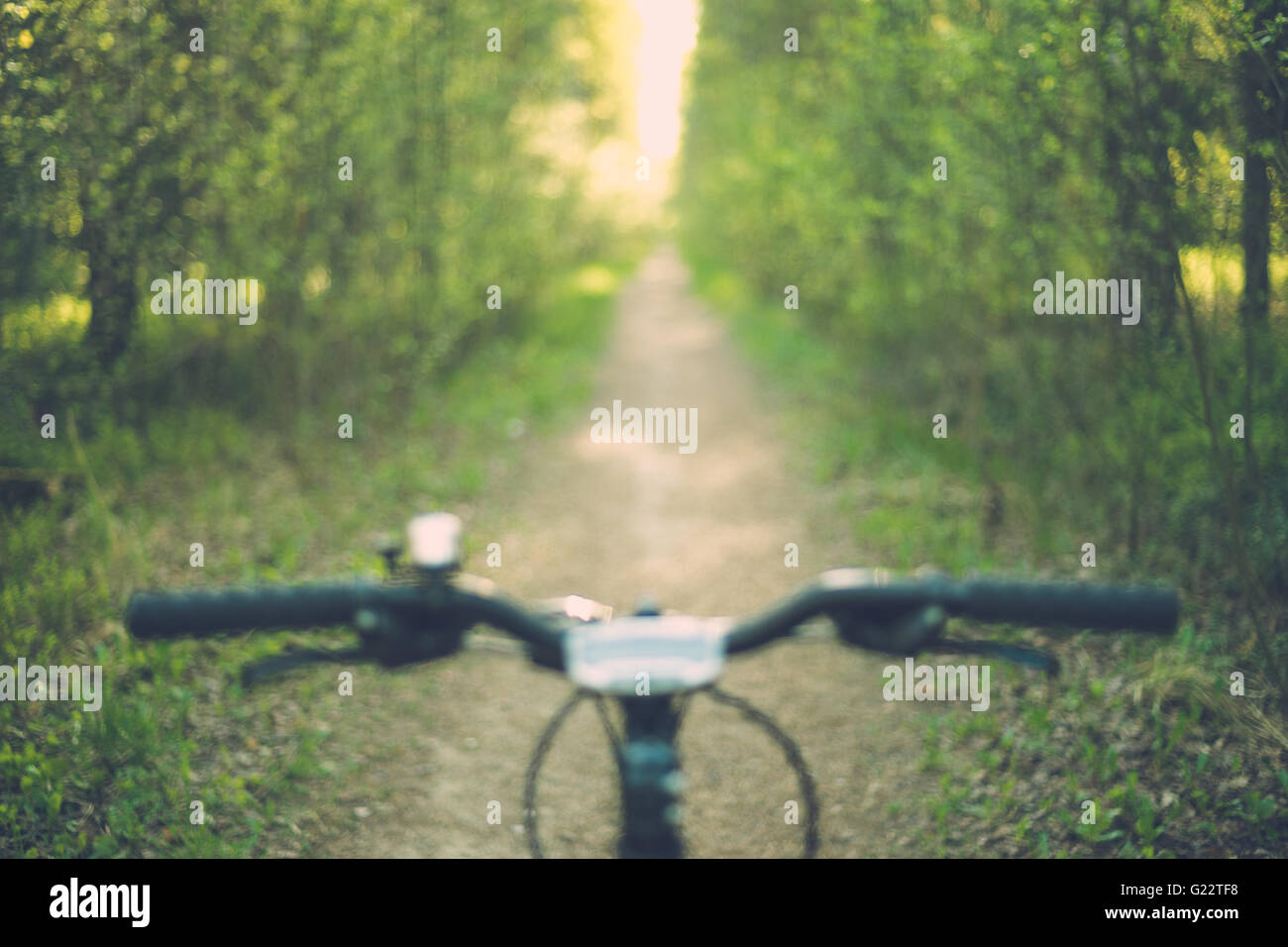 Verschwommenes Bild von Fahrrad Lenker mit schmalen Waldweg und Sonnenlicht im Hintergrund Stockfoto