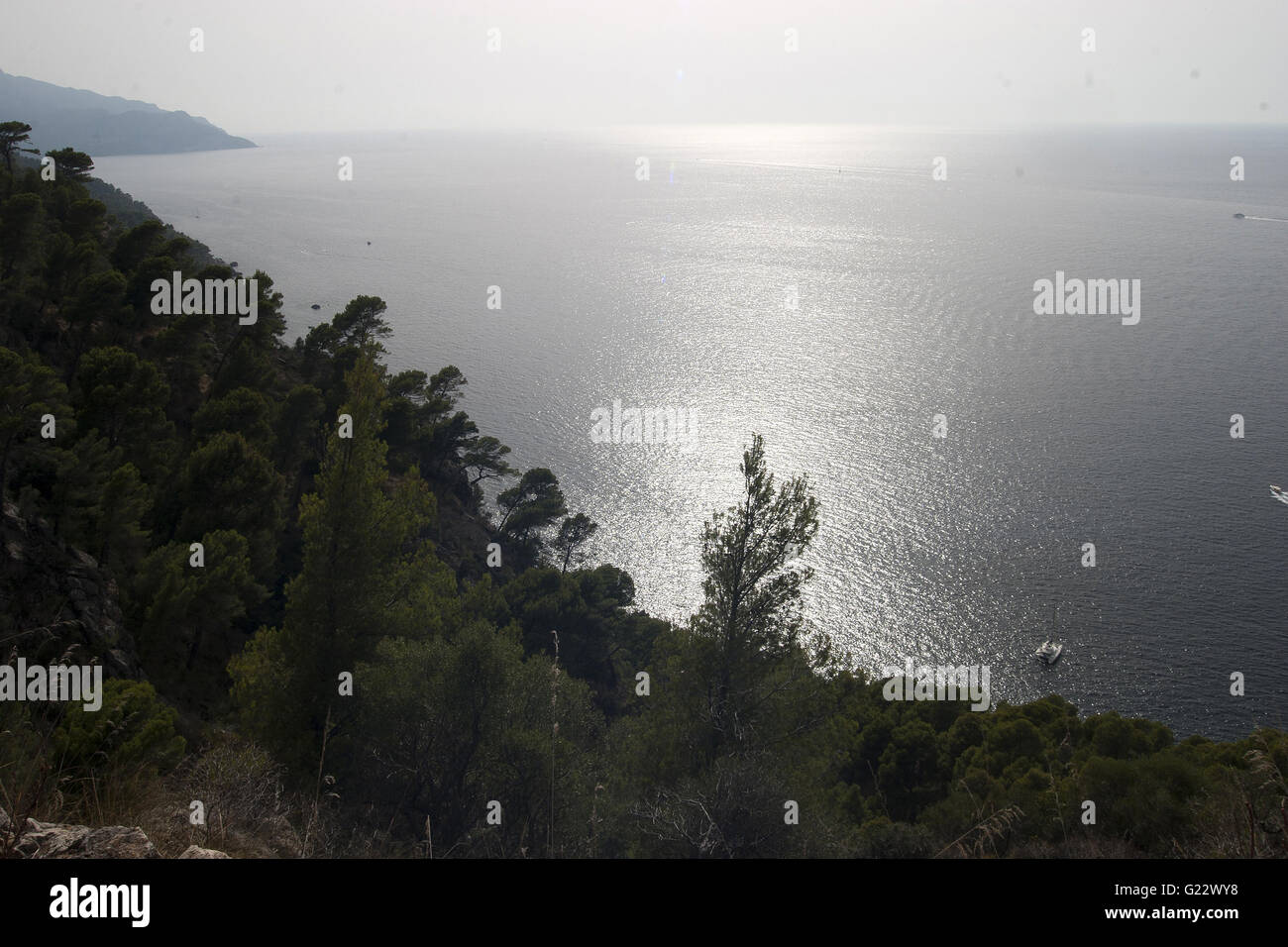 ein schönes Bild von der dunstigen Küsten blaues Meer mit Vegetation im Vordergrund in Palma De Mallorca, Spanien, am Meer, Tourismus Stockfoto