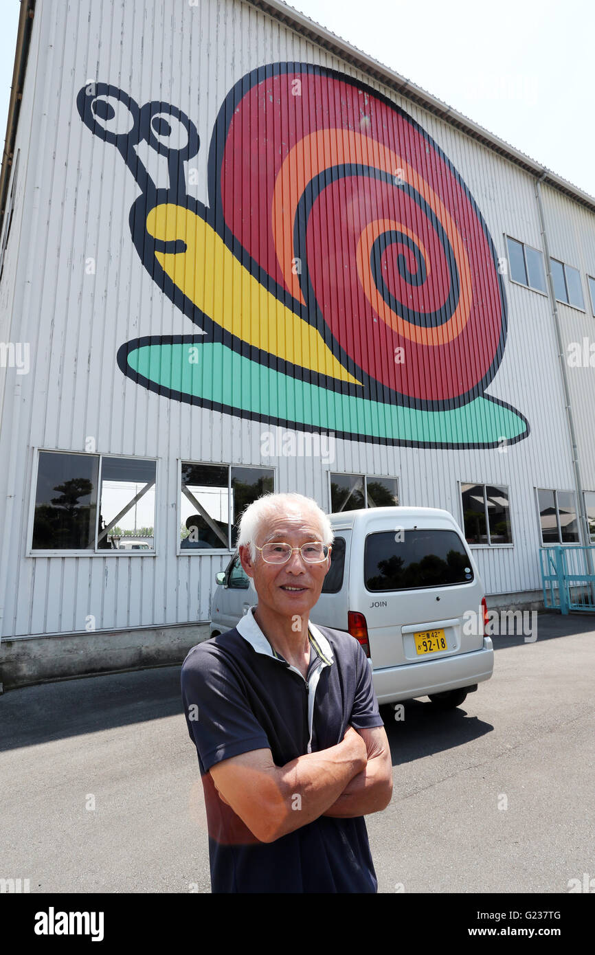 Matsusaka, Japan. 23. Mai 2016. Toshihide Takase, eines japanischen Fabrikanten zeigt Burgandy Schnecken, was bezeichnet man als bedrohte Art in Frankreich bei seinem Anbau fam 'Escargot Farm"in Matsusaka in der Präfektur Mie, Zentraljapan auf Montag, 23. Mai 2016. Takase Suceeded höchster Qualität Escargot de Bourgogne (Helix Pomatia Art) im Jahr 1995 und jetzt 200.000 seltene Schnecken zu kultivieren und Servierplatten der hausgemachten "Escargot à la Bourguignonne" zu züchten (Schnecken in Knoblauchbutter) Besuchern auf seiner Farm. © Yoshio Tsunoda/AFLO/Alamy Live-Nachrichten Stockfoto