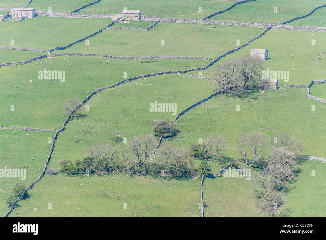 Feld, Wand und Scheune Strukturen im Swaledale Stockfoto