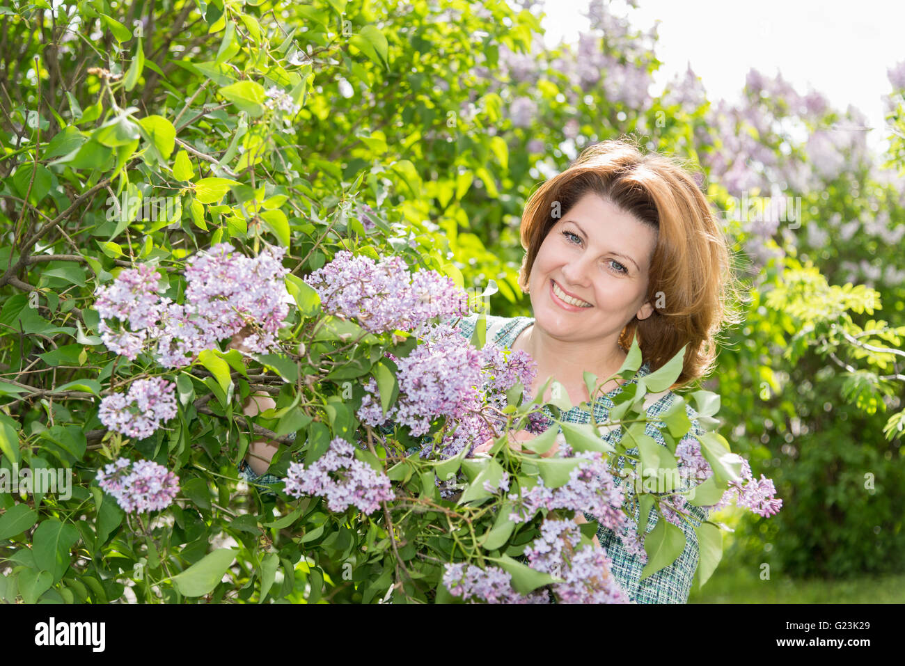 Erwachsene Frau im Park in der Nähe der blühenden Flieder Stockfoto