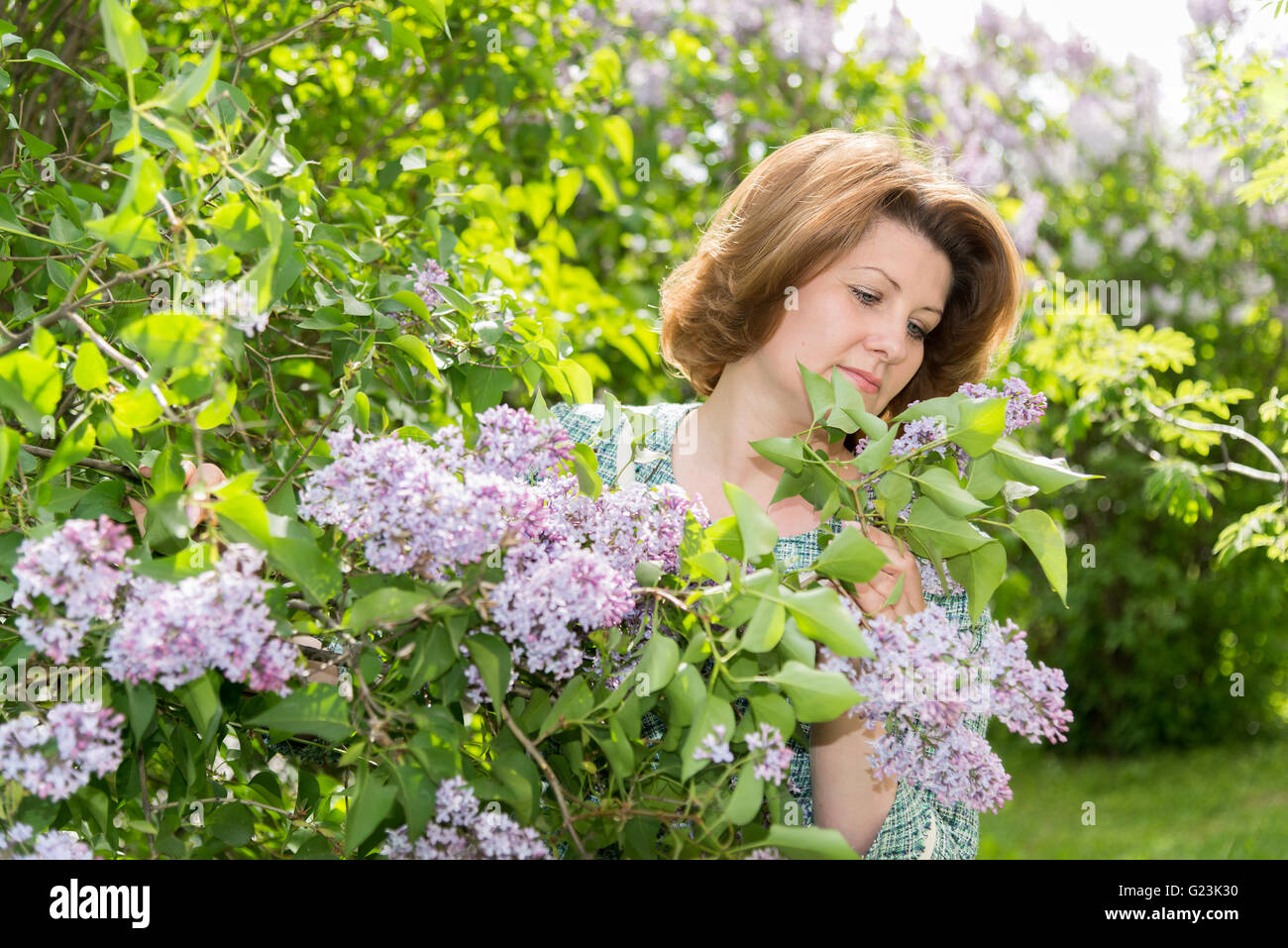Erwachsene Frau im Park in der Nähe der blühenden Flieder Stockfoto
