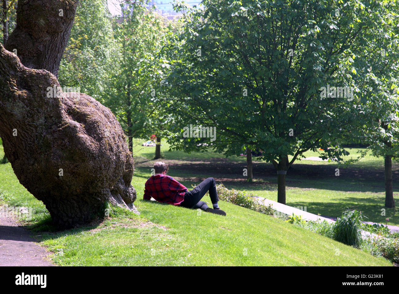 Mann oder ein Junge am Rasen Lesebuch im Kelvingrove Park Glasgow, Scotland, UK liegen. Stockfoto