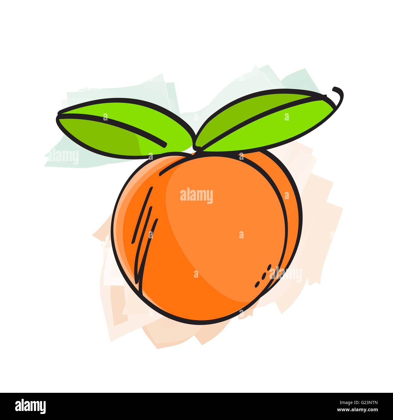 Pfirsich Aquarelleffekt Vektor-illustration Stock Vektor