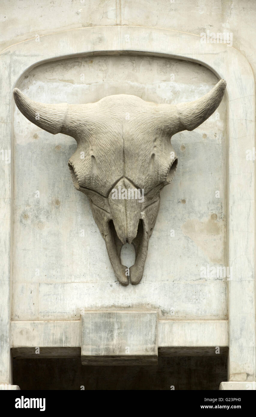 Bison Schädel Skulptur, Monroe Street Bridge, Spokane, Washington Stockfoto