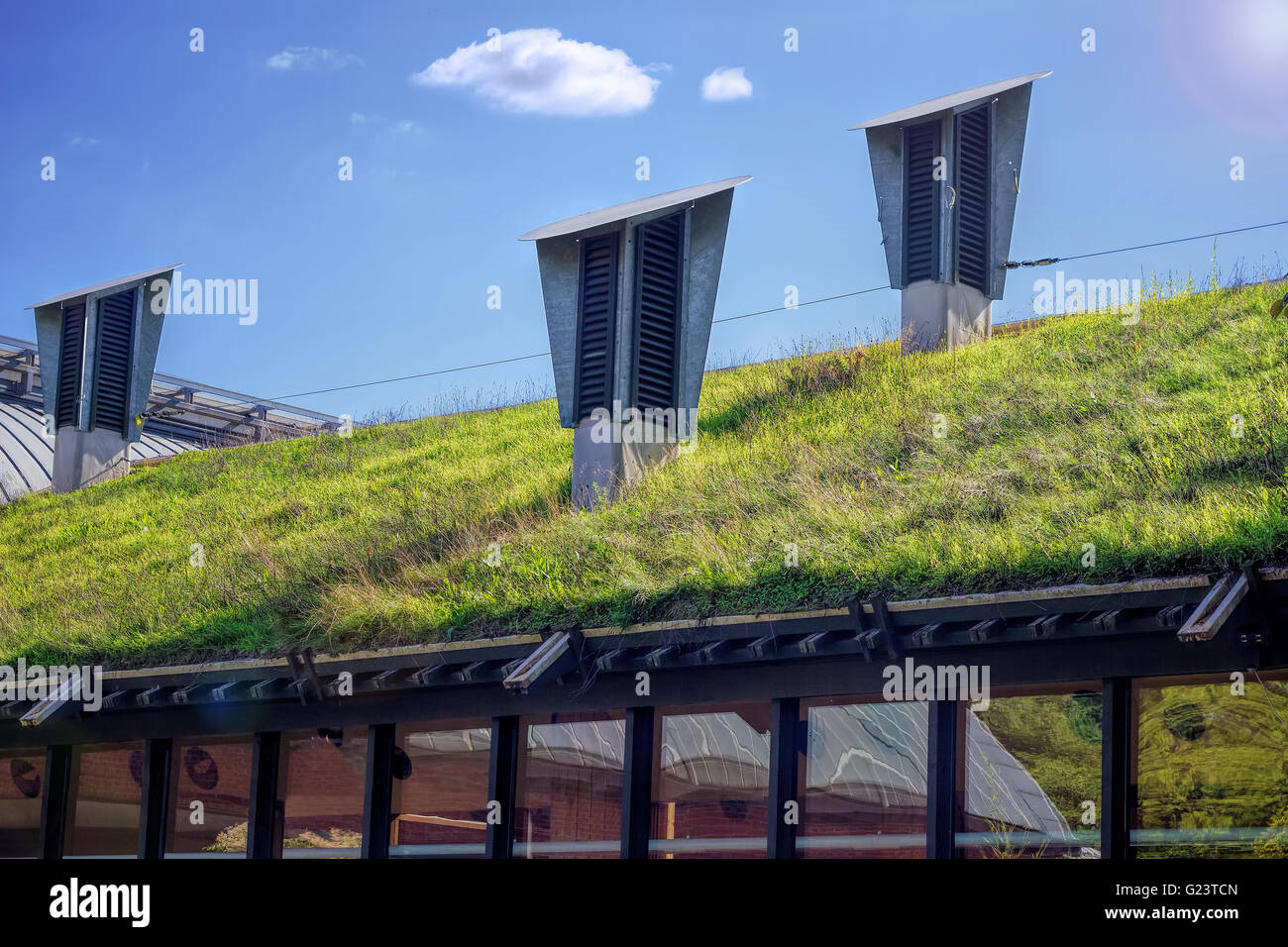 Green Living Dach. Eco-Friendly-Gebäude Stockfoto