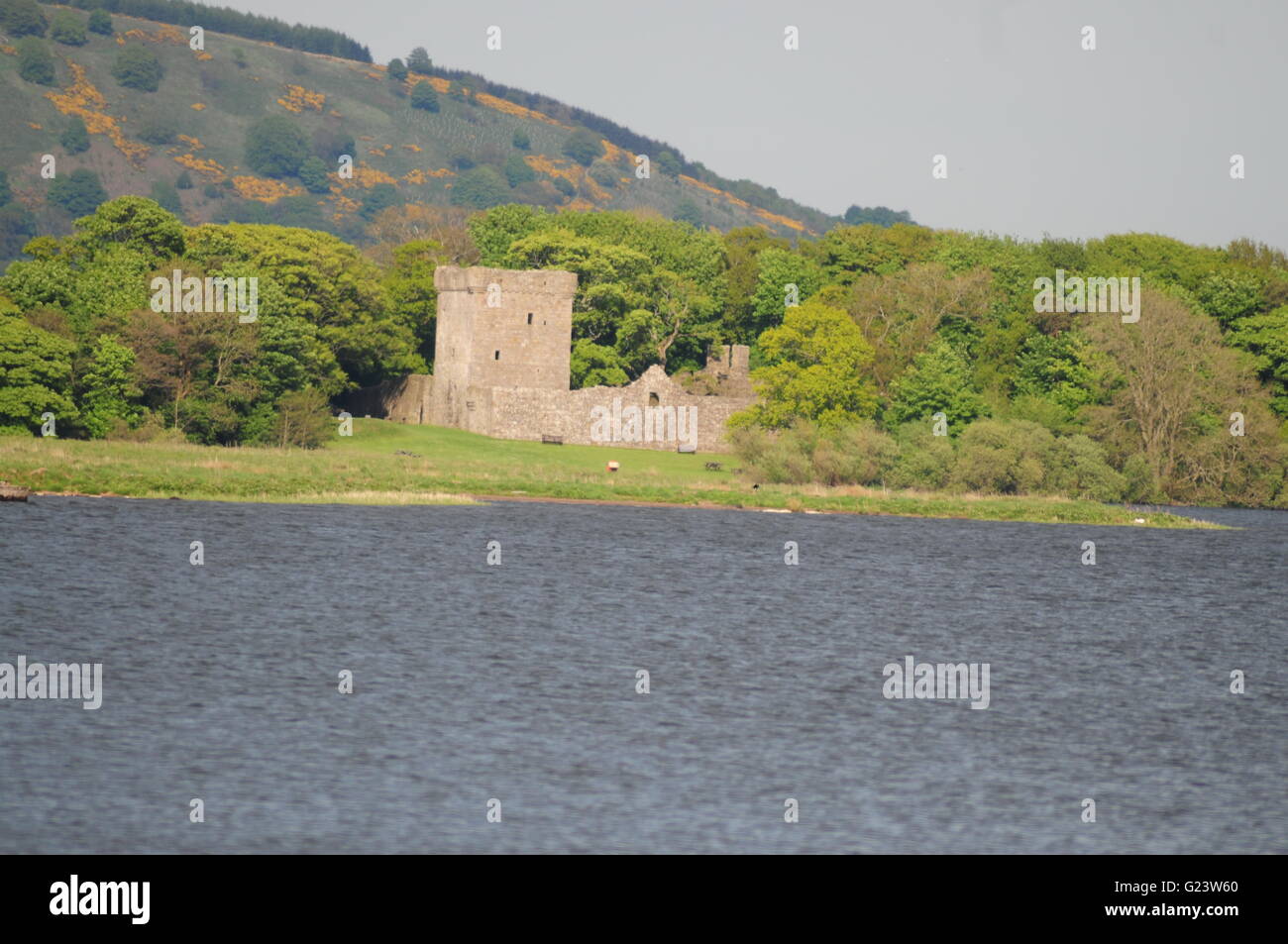 Loch Leven Castle Loch Leven Fife Zentralschottland Mai 2016 Stockfoto