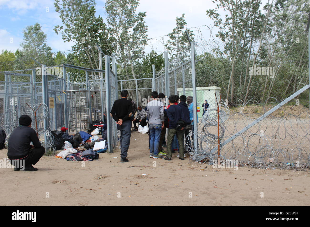 Fluchtlinge An Der Grenze Zwischen Ungarn Und Serbien Vor Den Ungarischen Transitzonen Warten Foto Balint Bardi Stockfotografie Alamy