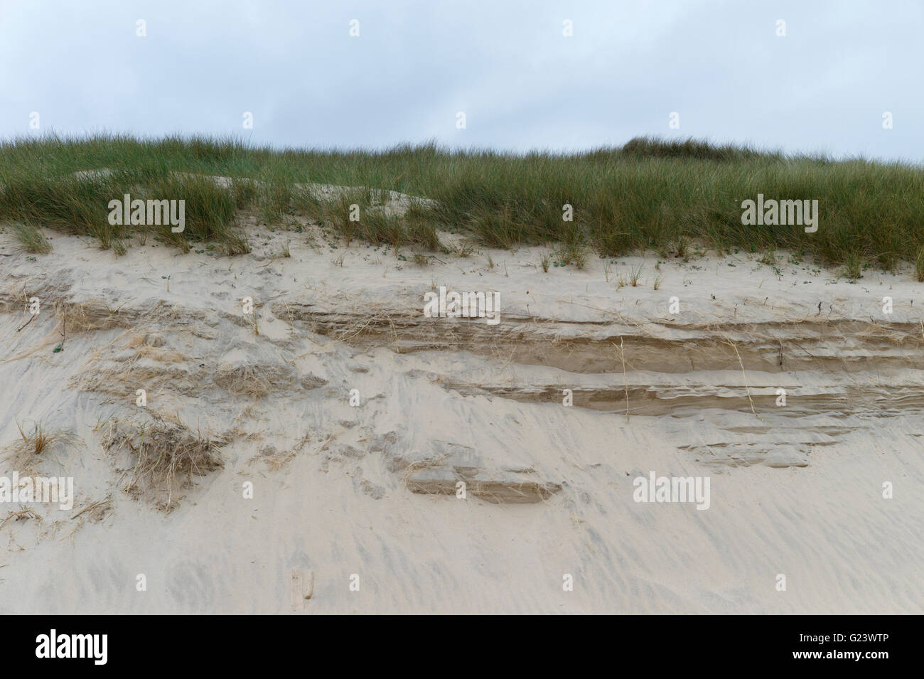 Dünengebieten Gras- und Sanddünen, Land von Meer Hochwasser zu schützen Stockfoto