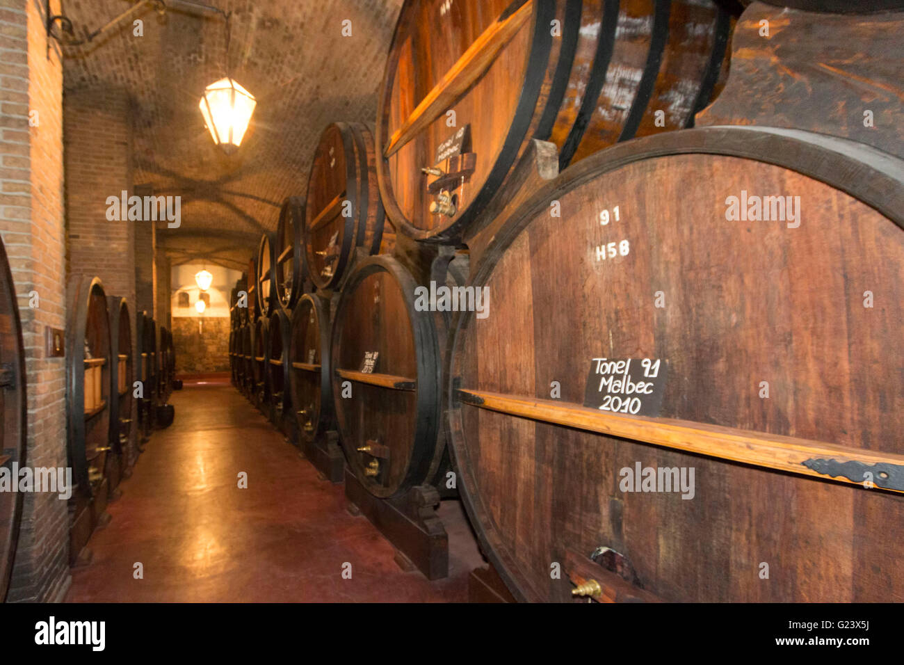 Große Eiche Weinfass in Bodega La Rural, Mendoza, Argentinien. Weinmuseum Stockfoto