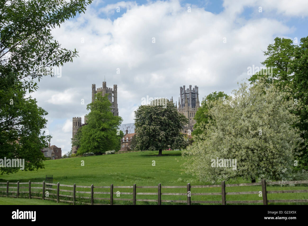 Ely Kathedrale von Cherry Hill Park Ely Cambridgeshire England UK Stockfoto