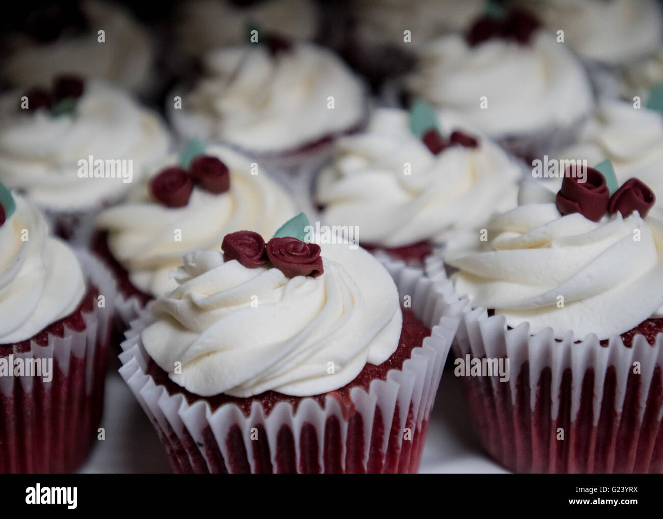 Schokolade Rosen Fondant auf Red Velvet Cupcakes bei einem Empfang Stockfoto