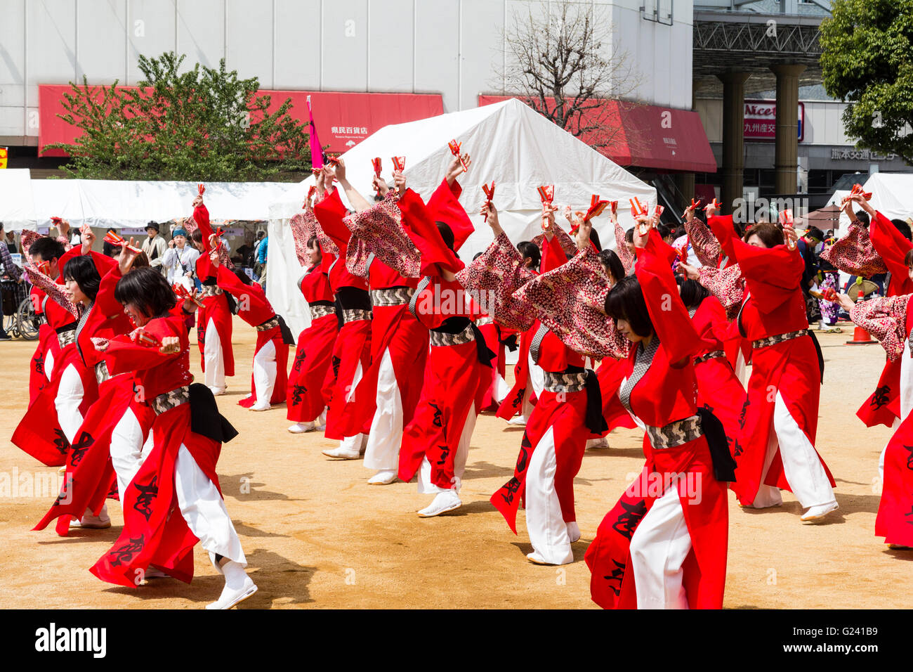 Japanische hinokuni Yosakoi Dance Festival. Dance Team, vor allem junge Frauen, Tanzen in leuchtend roten yukata Jacken und Holding naruko, hölzerne Klöppel. Stockfoto