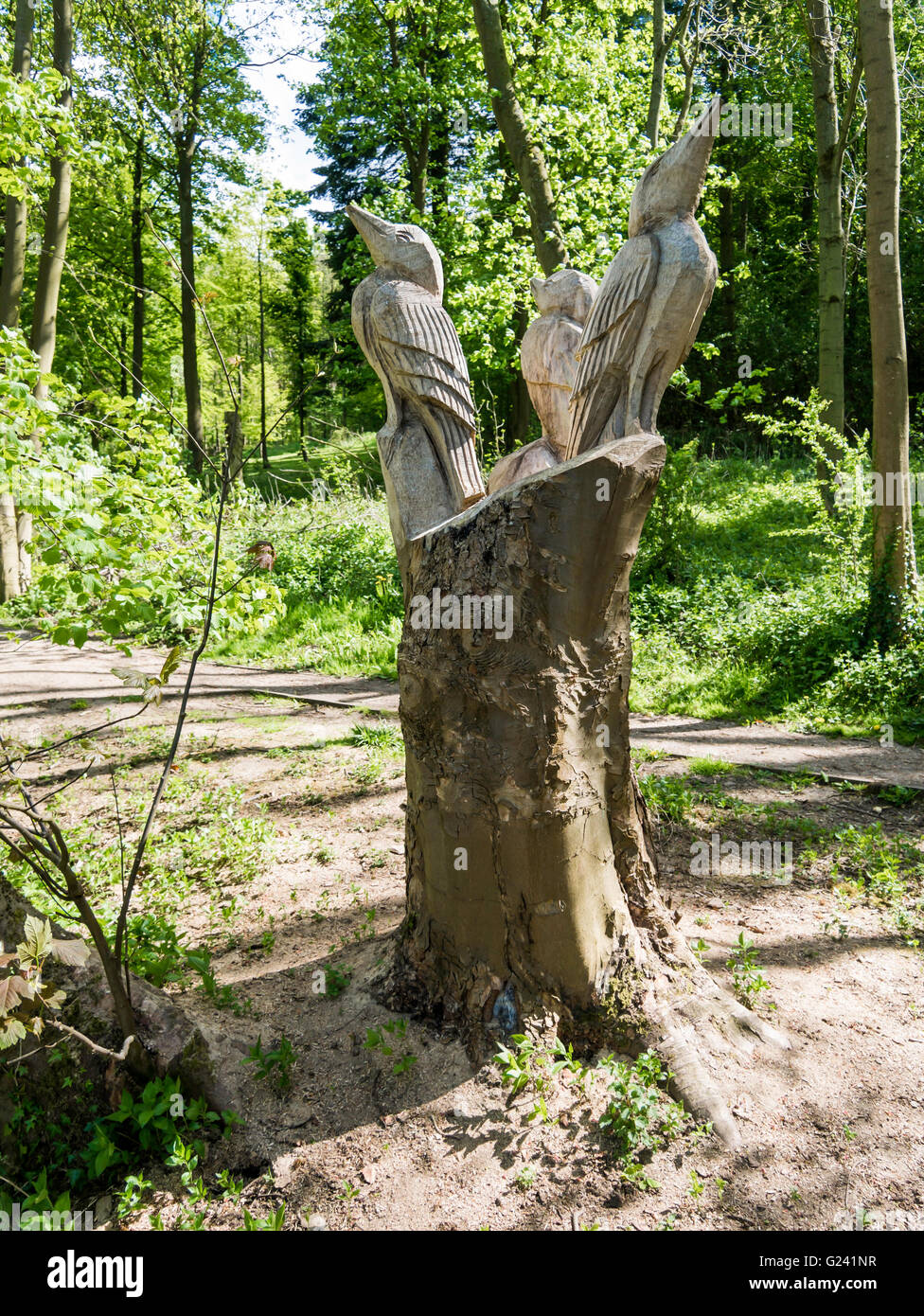 Holz-Skulptur von drei Eisvögel in Bousedale Holz Kolonialwarenhändler Wald Gehweg North Yorkshire Stockfoto