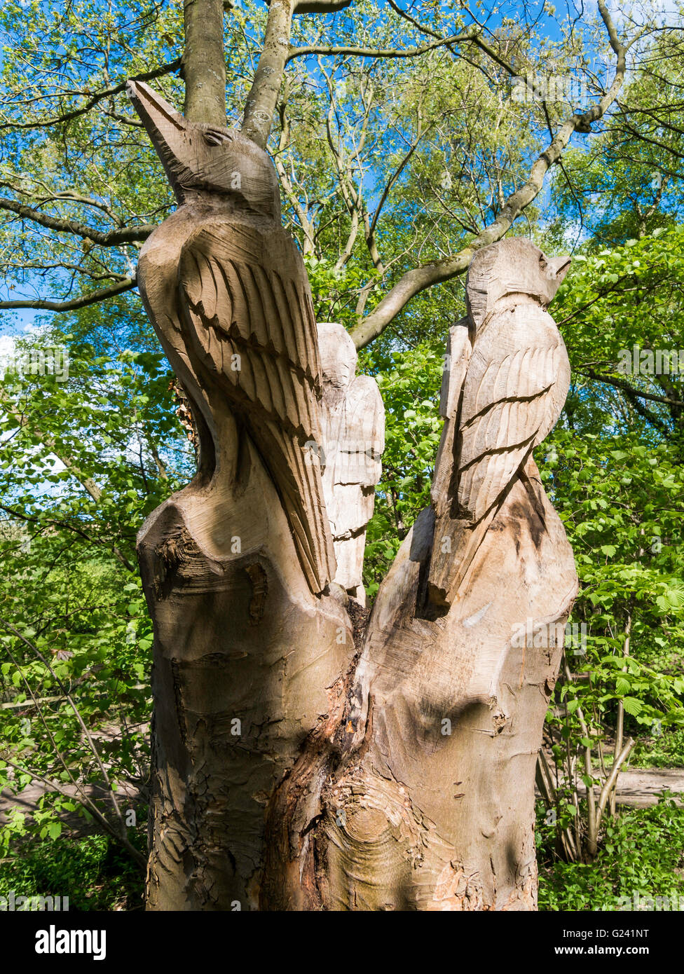 Holz-Skulptur von drei Eisvögel in Bousedale Holz Kolonialwarenhändler Wald Gehweg North Yorkshire Stockfoto