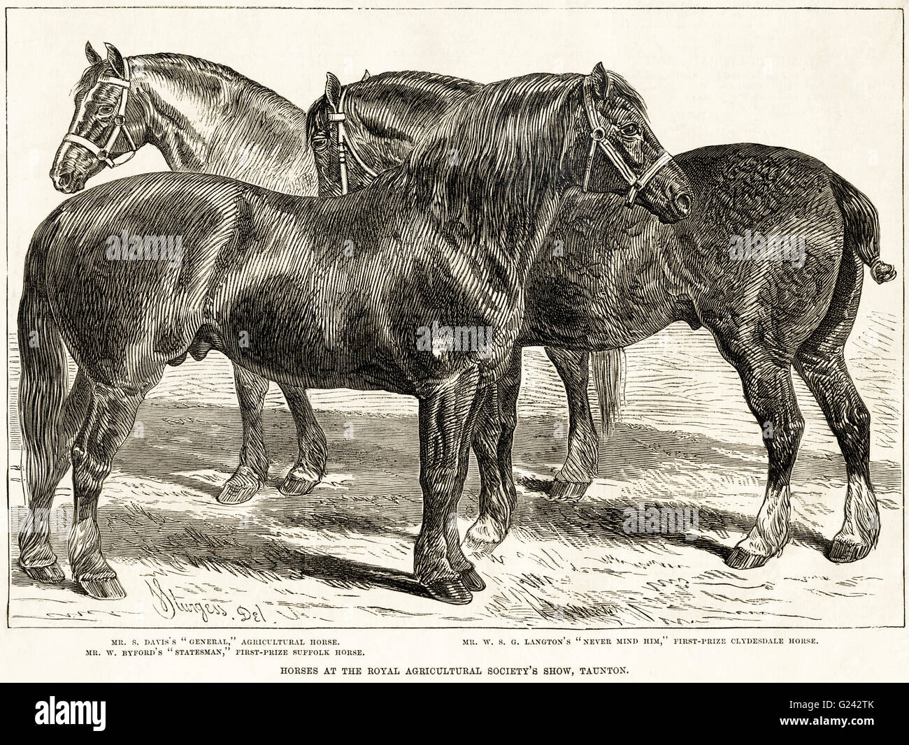 Preisgekrönte Pferd bei der Royal Agricultural Society Show in Taunton, Somerset, England, UK. Viktorianische Holzschnitt Gravur datiert 1875 Stockfoto