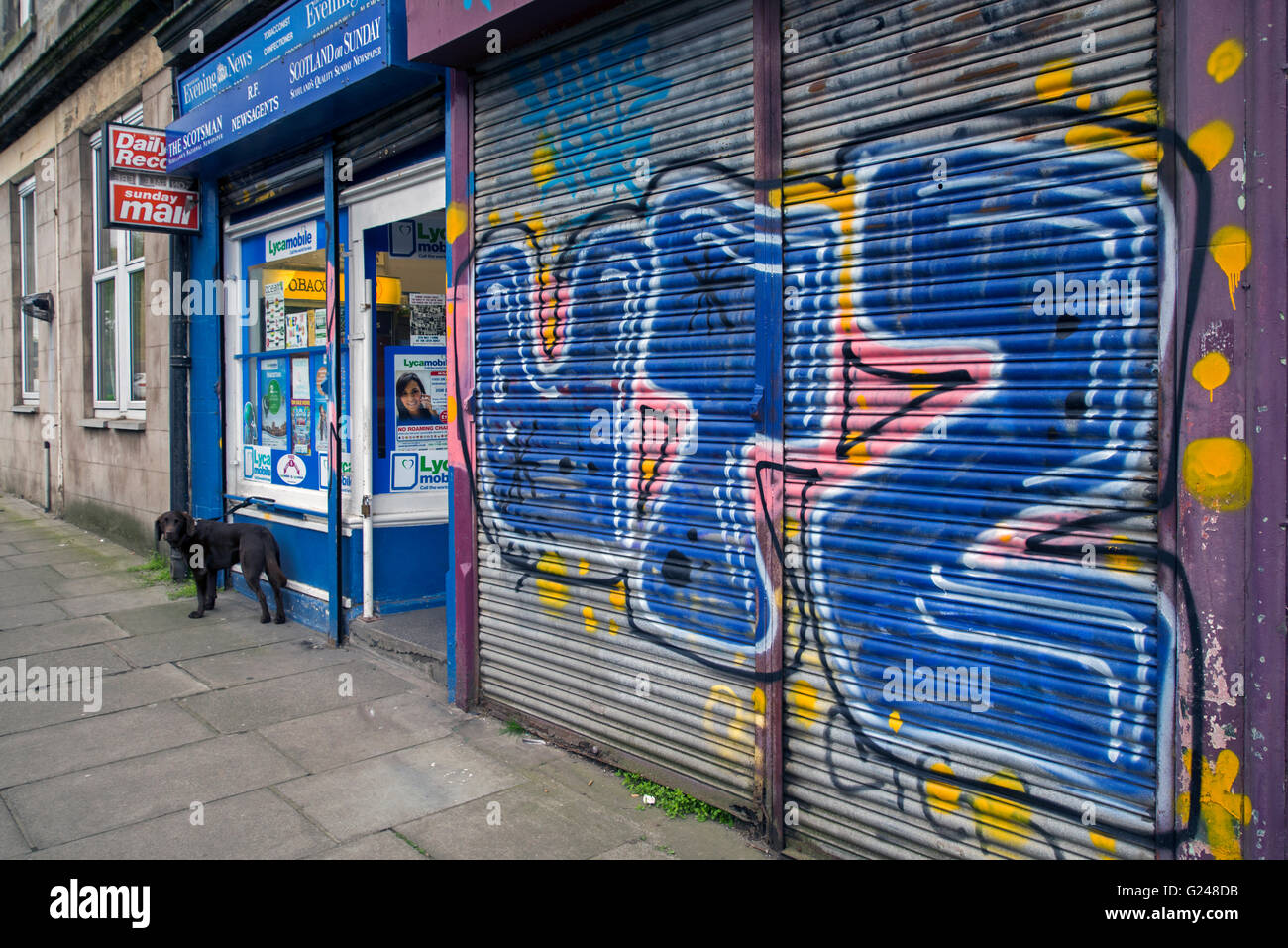 Hund außerhalb ein Edinburgh Zeitungsladen mit einem verfallenen Shop nebenan gefesselt. Stockfoto