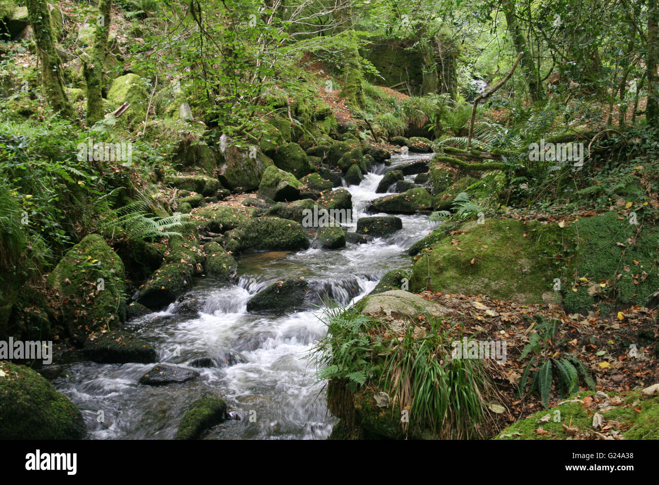 Wasserfälle, laufen durch die Märchen Tal Kennal Vale Stockfoto