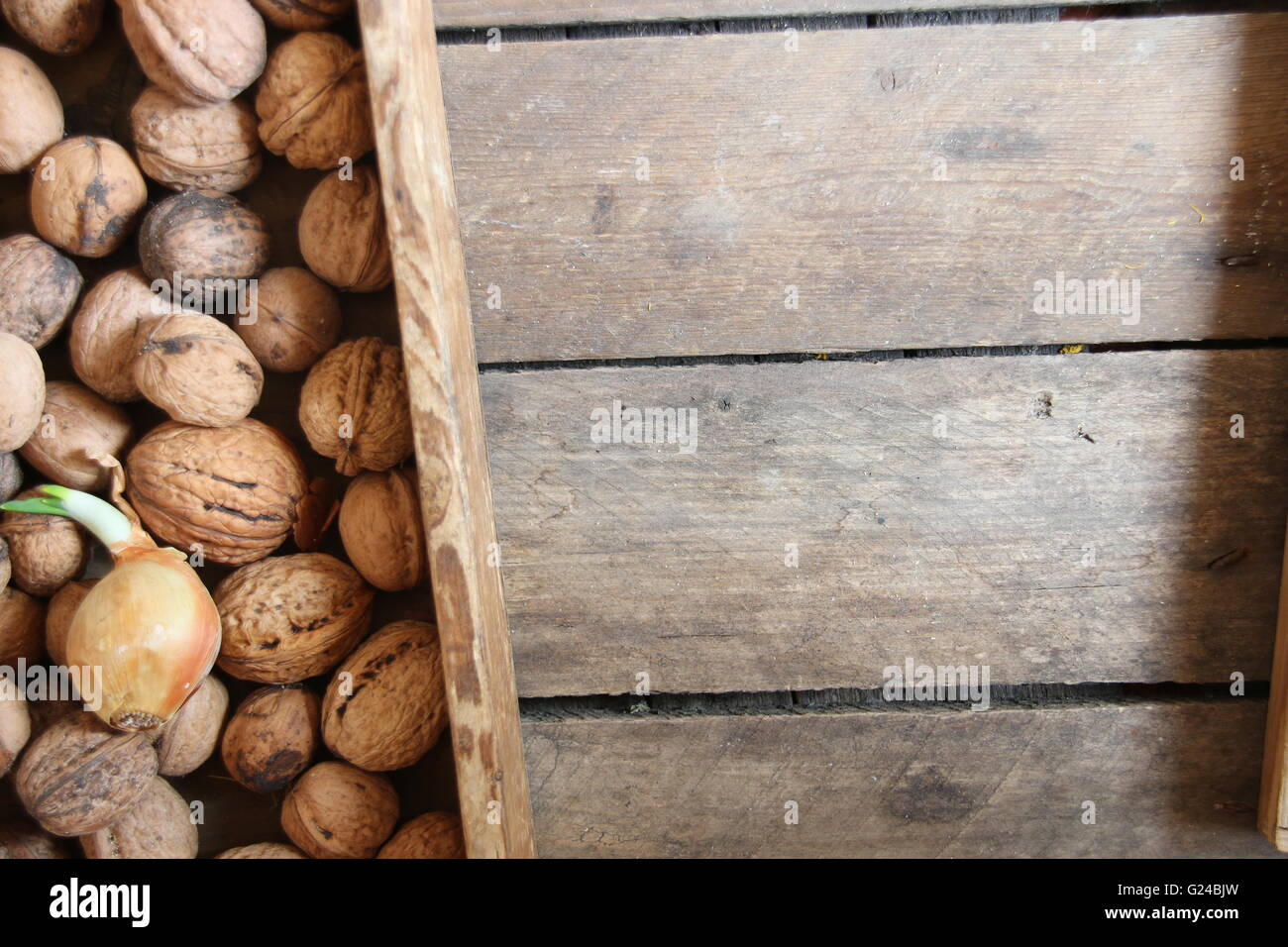 Essen Hintergrund, frische Walnüsse in einer Holzkiste Stockfoto