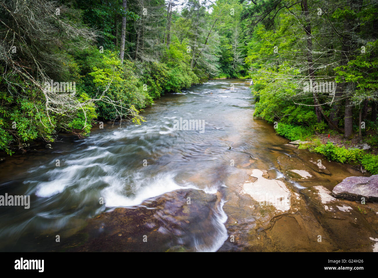 Little River, im Dupont State Forest, North Carolina. Stockfoto