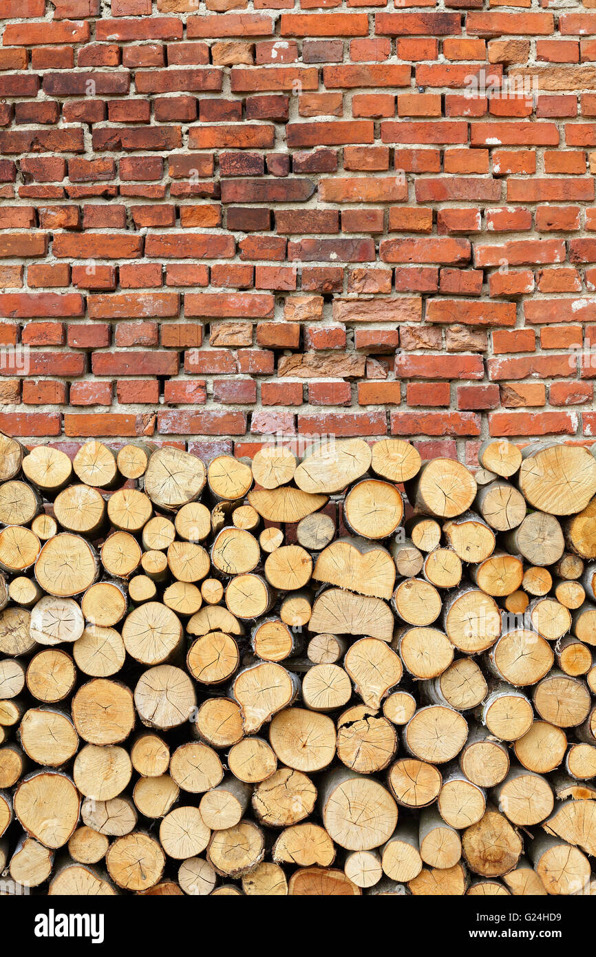 Baumstümpfe und alte Mauer als Hintergrund. Stockfoto