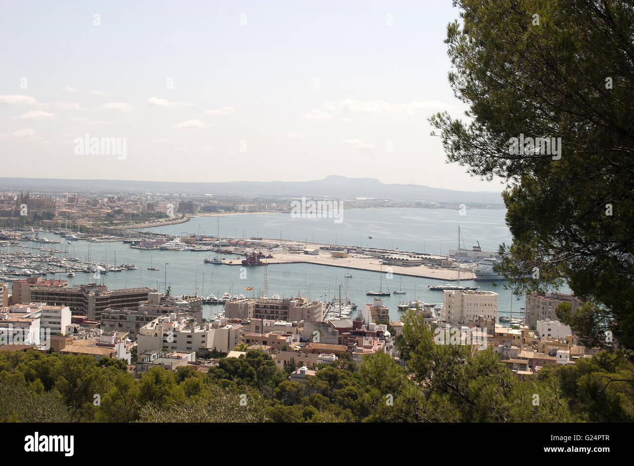 ein schönes Foto von den Stadthafen mit den Docks, von Palma aus einer Distanz, Palma di Maiorca, Palma de Mallorca, Sommer Stockfoto