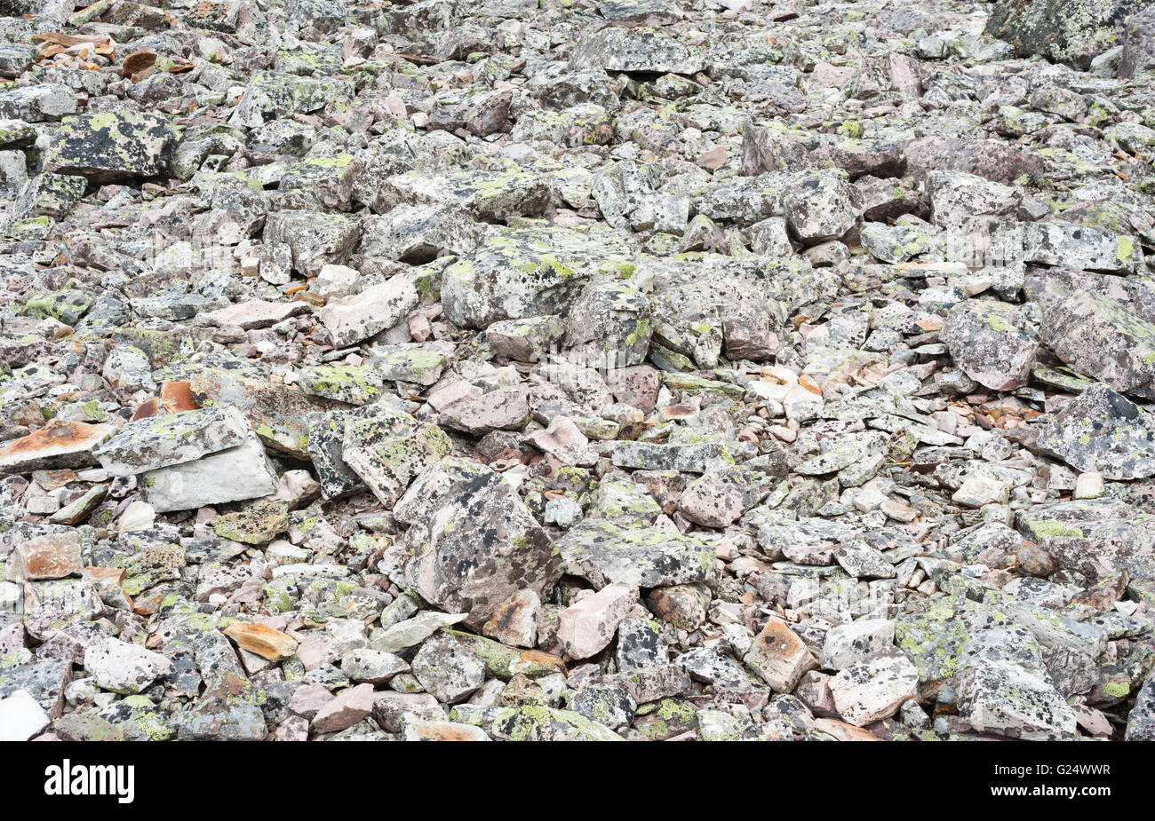 Textur Hintergrund Schutt von schroffen Felsen, die in grauen und grünen Flechten bedeckt. Stockfoto