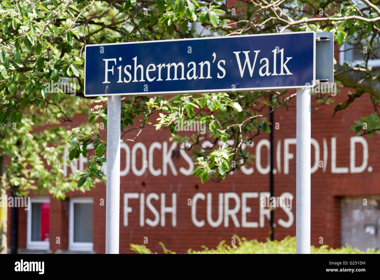 Neue Dock-Fisch-Heiler (Albatros & Tusk), Fleetwood, Thorton-Cleveleys, Flyde Coast, Lancashire, UK Stockfoto