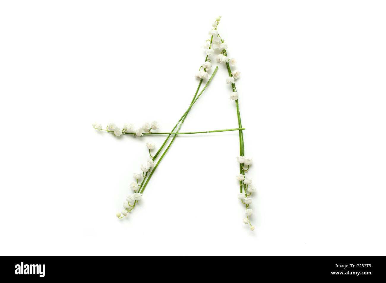 Englische Alphabet von Blume Buchstaben. kreative Deko Buchstaben A Stockfoto