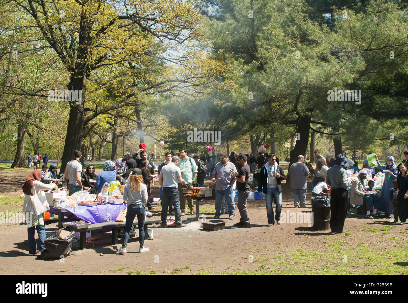 Gruppe von Menschen, die genießen eines Grillplatz im Prospect Park in Brooklyn, New York, USA Stockfoto