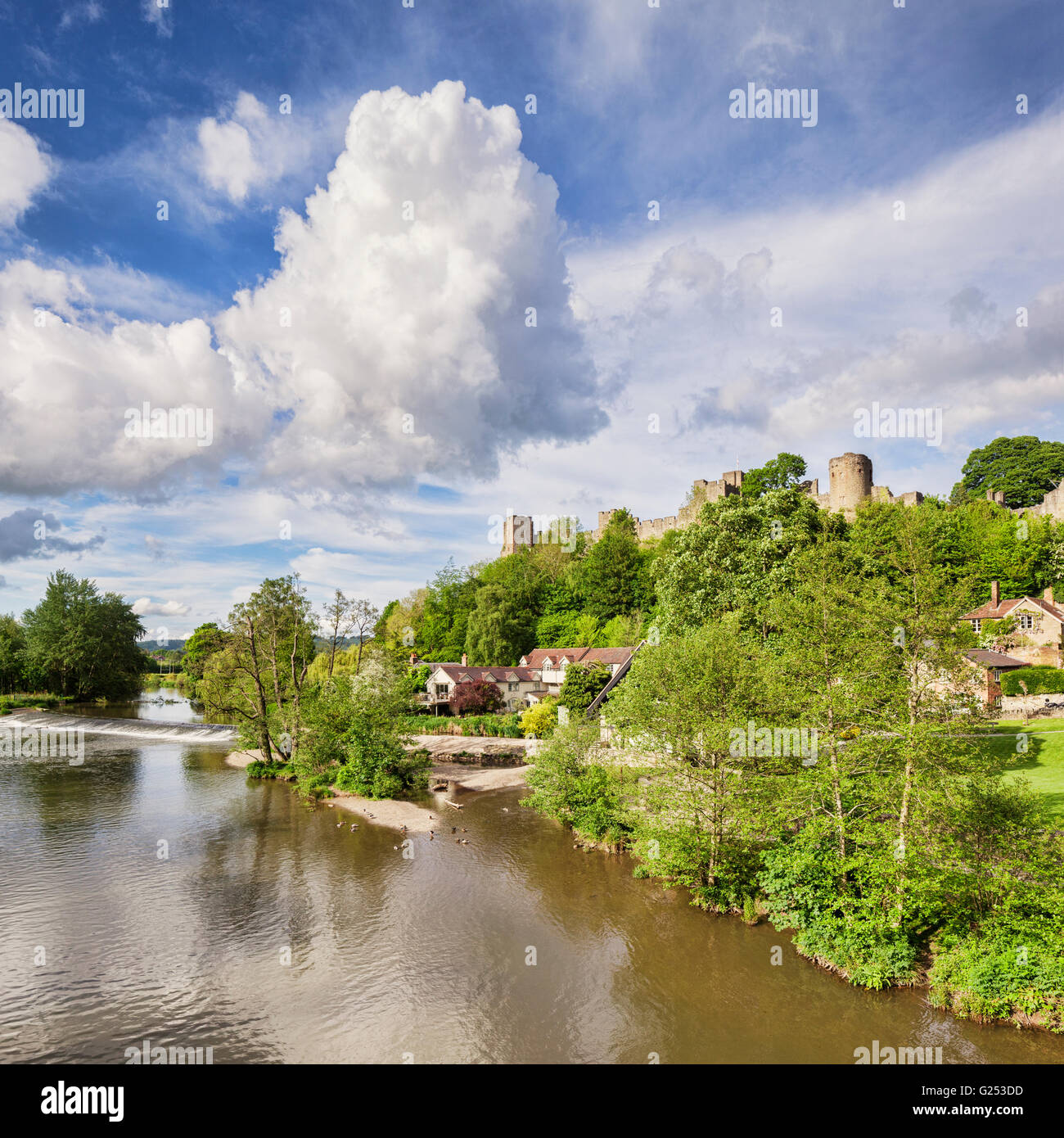 Ludlow Castle und der Fluß Teme, Shropshire, England, Vereinigtes Königreich Stockfoto