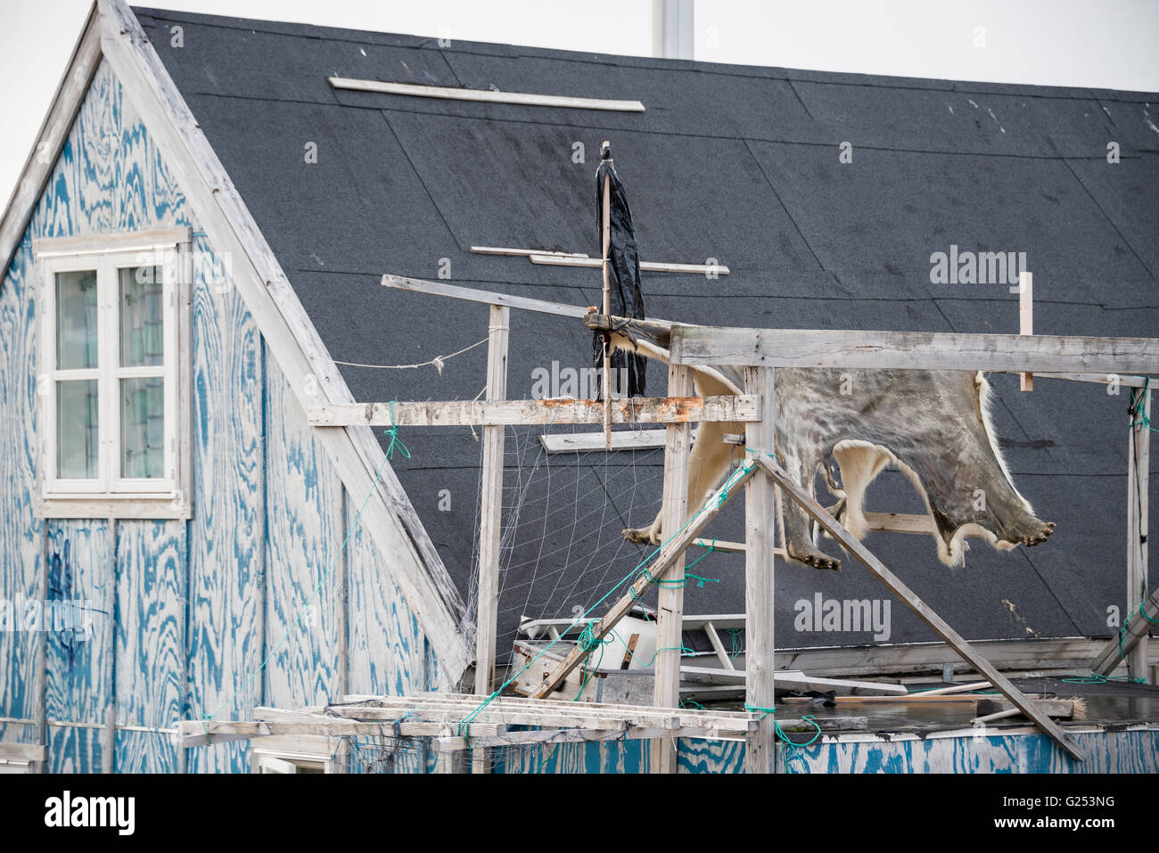 Polar Bear Haut trocknen weiter zu einem Haus in einer Inuit-Kleinstadt an der Ostküste Grönlands. Stockfoto