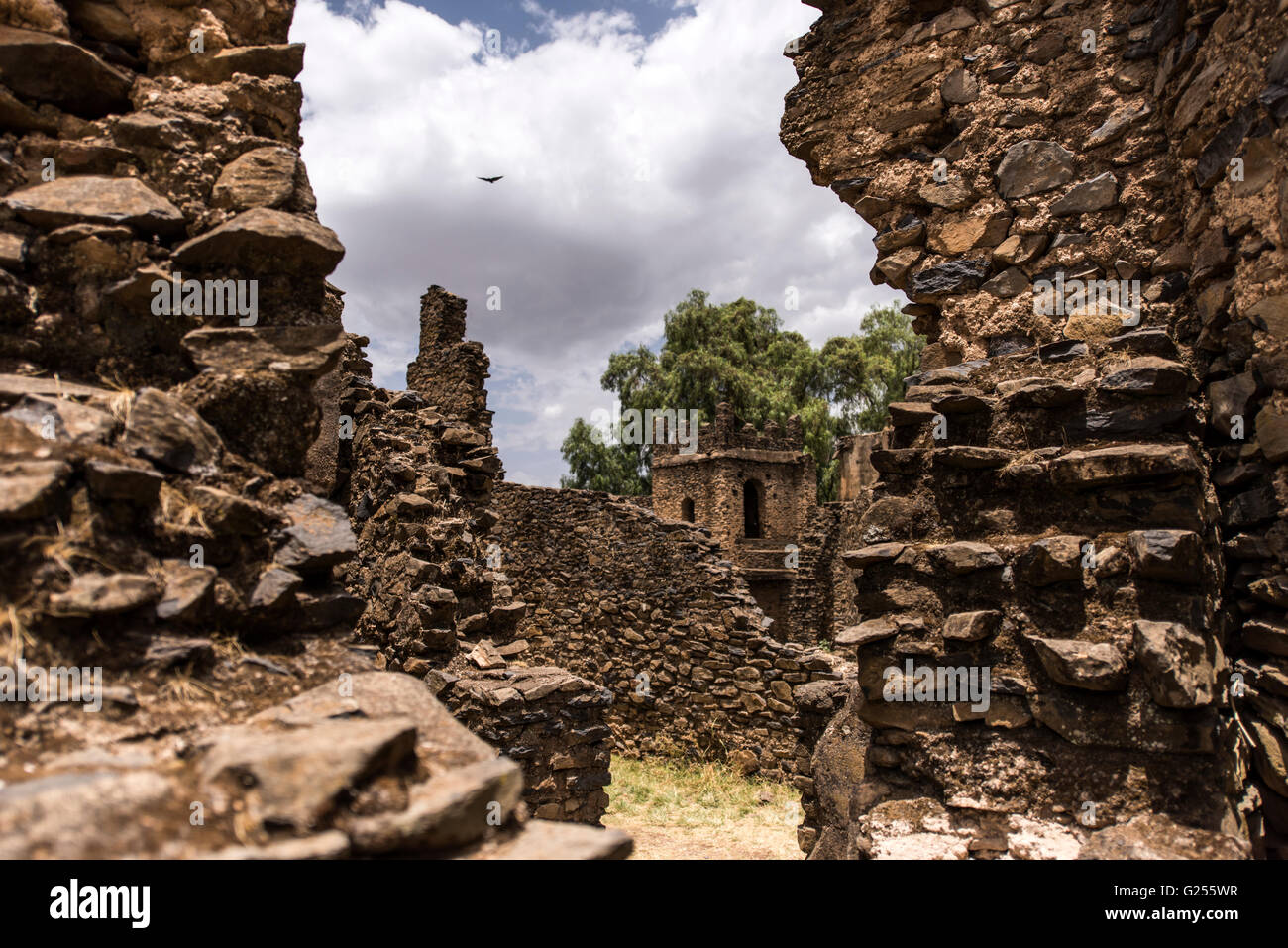 Königliche Gehege historische Denkmäler Gondar, Äthiopien Stockfoto