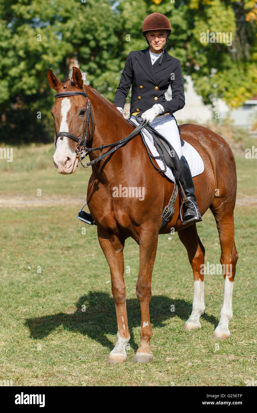 Junge Teenager-Mädchen auf einem Pferd. Pferdesport Sportlerin jockey Stockfoto